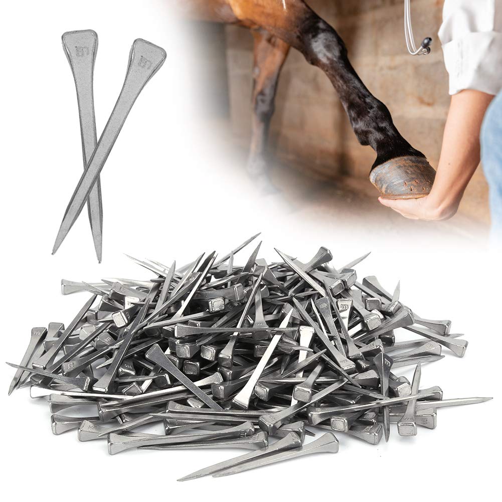 250 Pezzi E5 Chiodi a Ferro di Horse Accessori per Attrezzi da Horse per Chiodi a Ferro di Horse in Acciaio Inossidabile per Vetro al Piombo Fisso Gioielli Artistici Horse o Decorazioni Rustiche