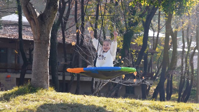 Amazon.com: 40 Inch Saucer Tree Swing for Kids | Outdoor 900D
