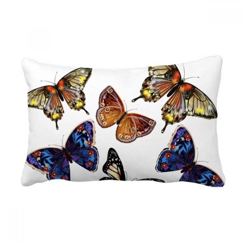 Coussin lombaire papillons 16x24 pouces, cadeau idéal de décoration