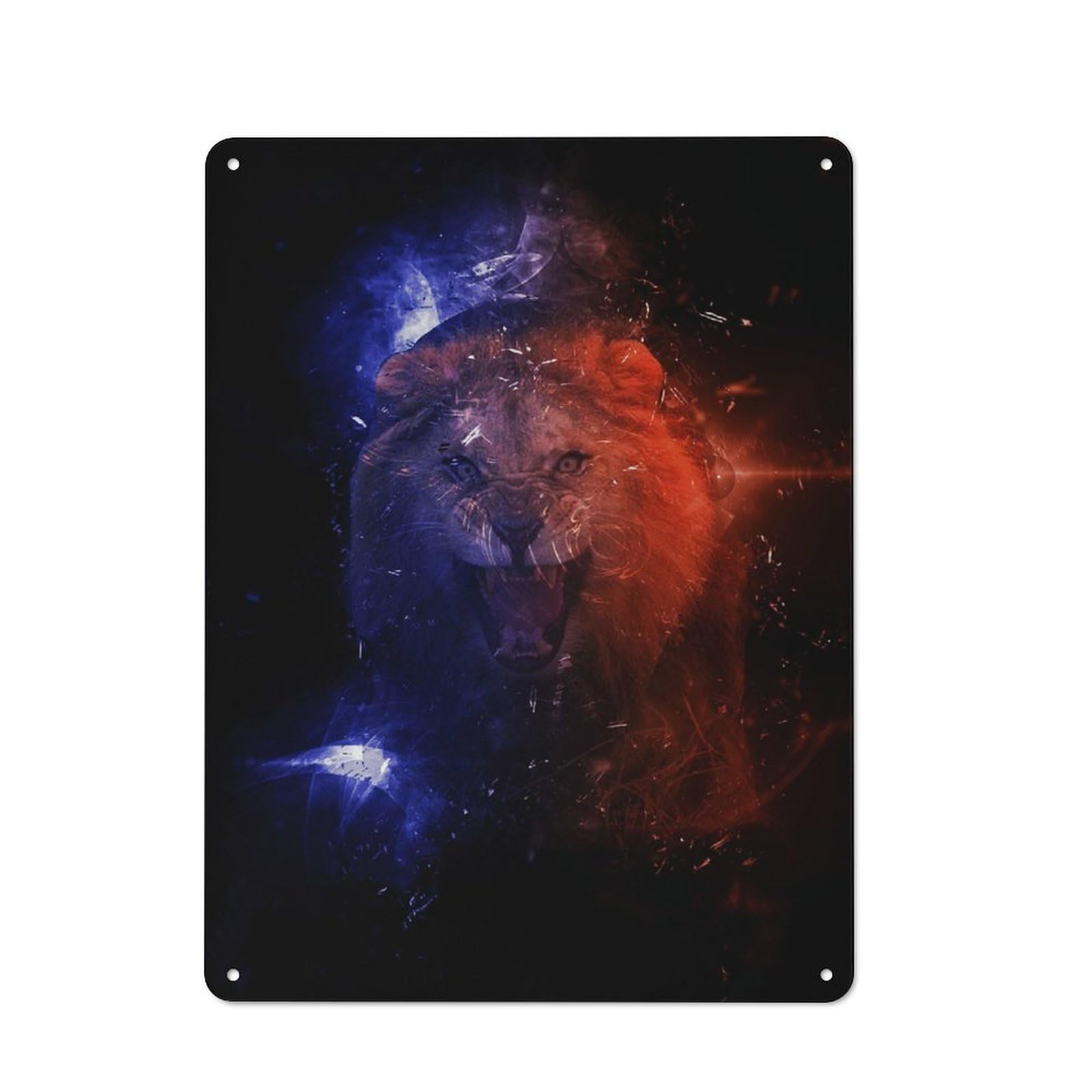 Fantasy Lion Printed Tin Plaque, Clean Printed Wall Decor for Breakfast Nook, Kitchen Wall And Home Cafe, 40x30cm