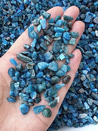 Image of GAF TREASURES 2 oz Lot Natural Apatite Semi Tumbled Gemstone Chips, Crushed Mini Crystals, Undrilled Crystal Chips (Apatite)