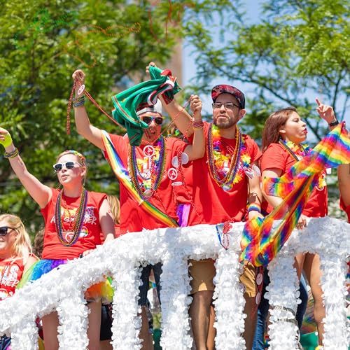 Image of EOBOH 12PCS Pride Accessories, Pride LGBTQ Beads Necklace Stuff, Metallic 6 Kinds of Rainbow Necklace Bulk, Gay Lesbian LGBT Costumes Decorations for Pride Month Parade Throws Party Favors
