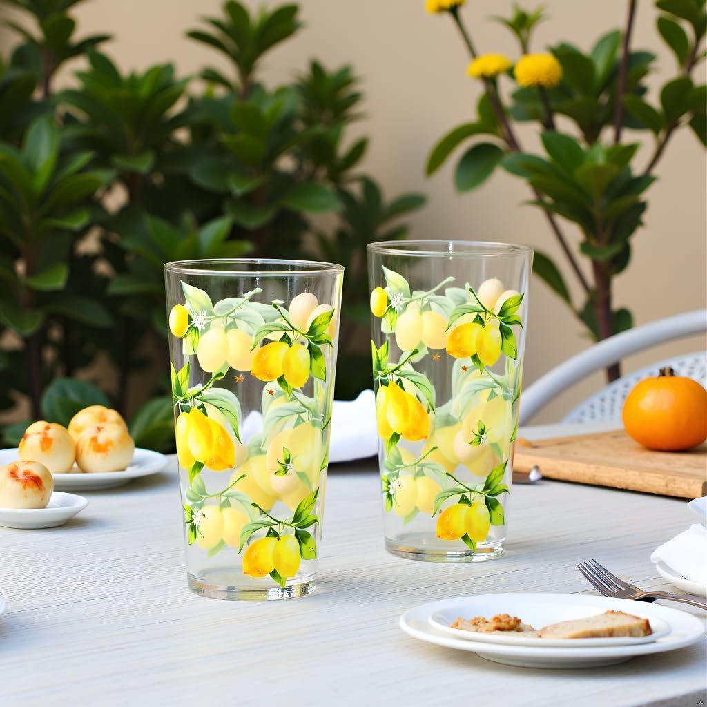 Reston Lloyd Calypso Basics Fresh Lemons 19 oz Acrylic Drinkware Set of 6 – BPA-Free, Indoor/Outdoor, Dishwasher Safe, Lemons with Bees - Image 11