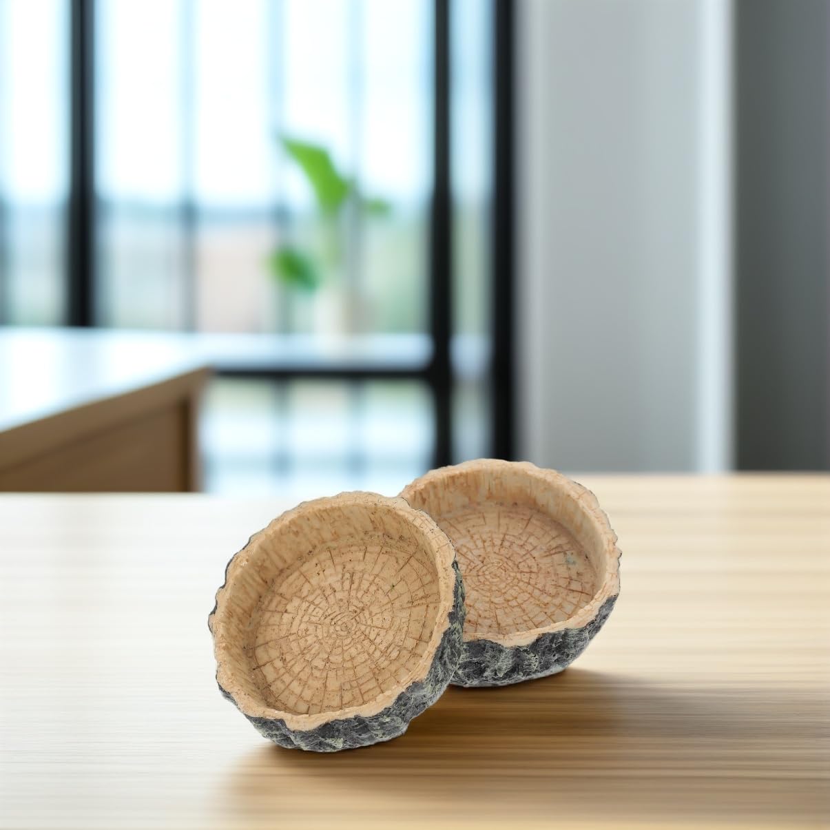 Garneck 2Pcs Reptile Feeding Bowl Durable Lizard Water Holder Design Food Feeder for Geckos Turtles Snakes and Reptiles Easy to Clean Feeding Supplies