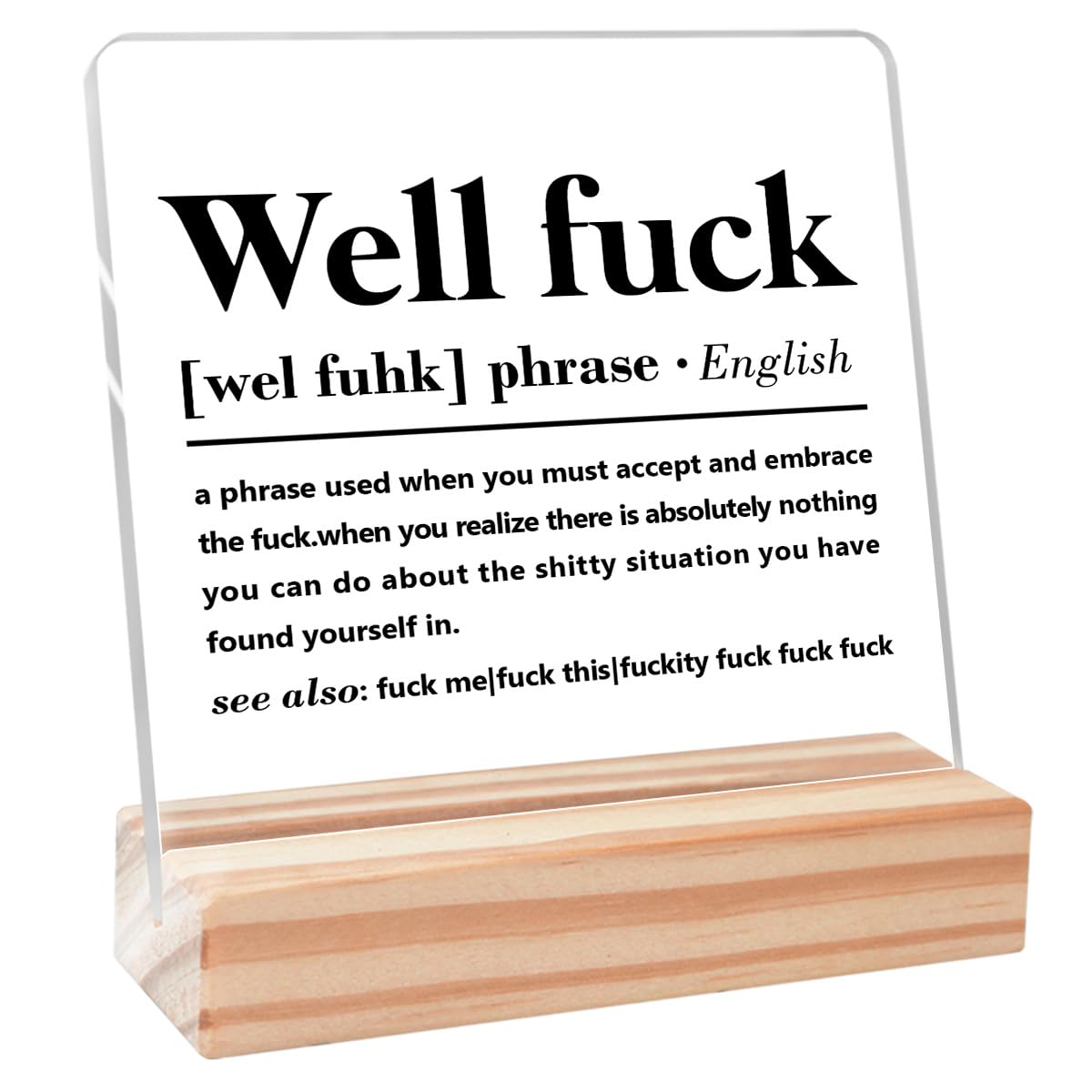 Funny Office Desk Decor,Humor Office Signs,Fun Office Gifts for Coworkers,Colleague Gift for Women Men,Office Cubicle Decor,Well Fuck Definition Sign Acrylic Plaque