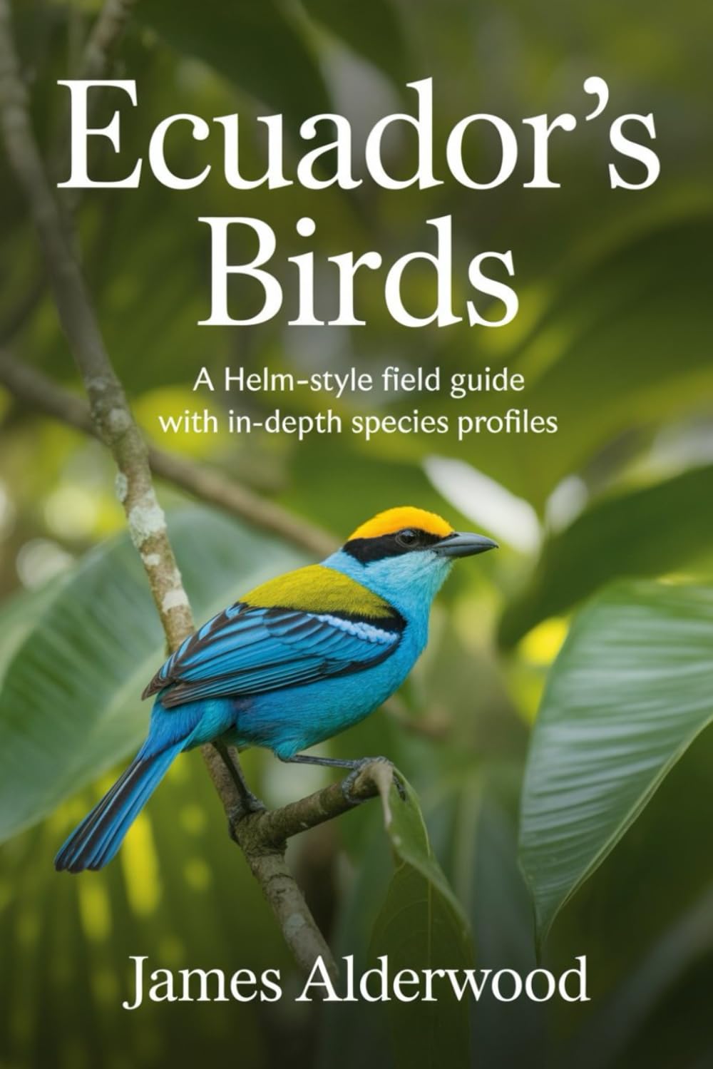 Ecuador's Birds: A Helm-Style Field Guide with In-Depth Species Profiles