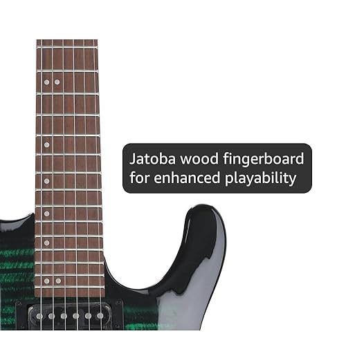 Amazon.com: Ibanez Kiko Loureiro Signature KIKOSP3 Electric Guitar