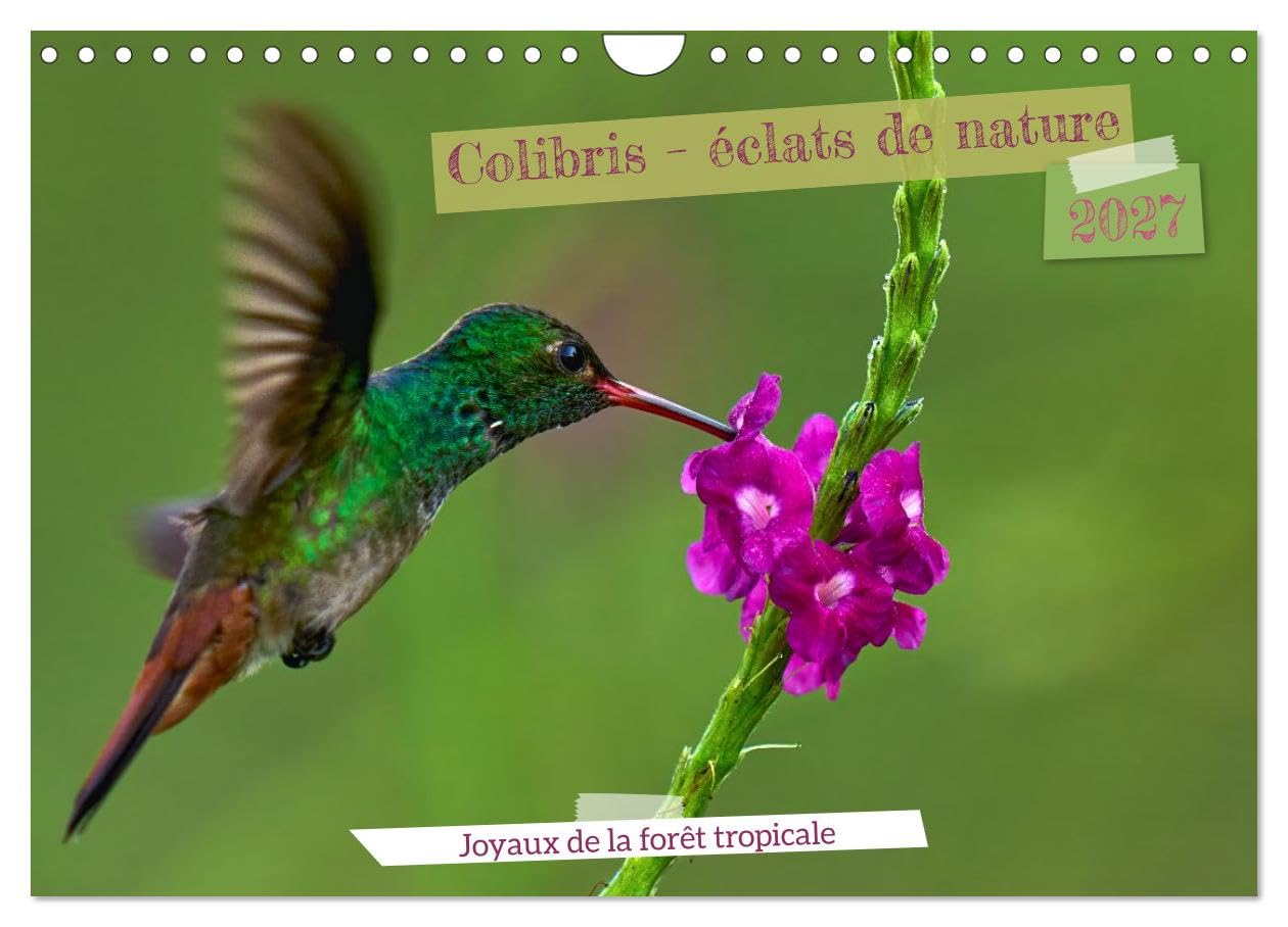 Colibris - éclats de nature (Calendrier mural 2027 DIN A4 vertical), CALVENDO calendrier mensuel: Joyaux de la forêt tropicale