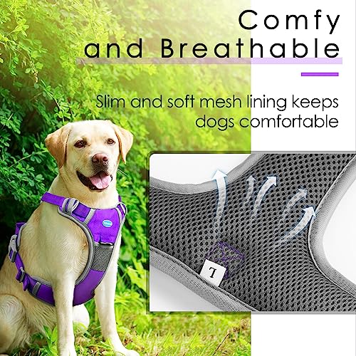 ThinkPet Hundegeschirr gegen Ziehen, atmungsaktiv, mit Griff, reflektierend, verstellbar für mittelgroße und große Hunde, Clip hinten / vorne für einfache Kontrolle, Größe XL, Neonviolett