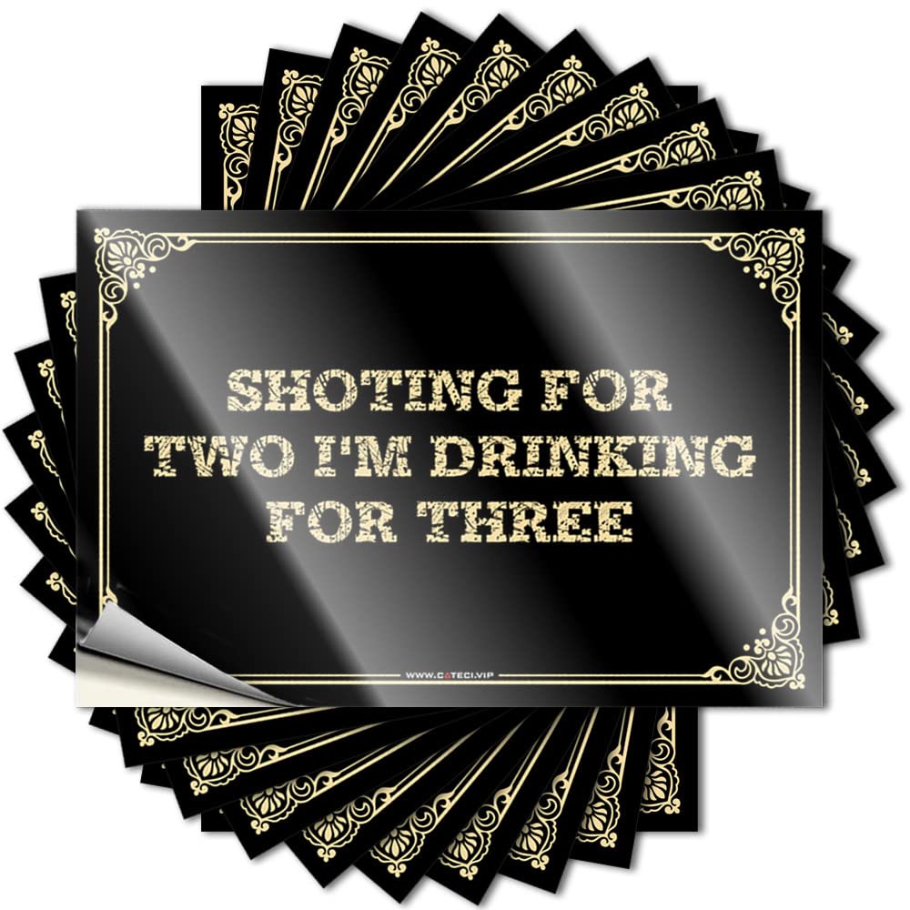 Bumper Sticker Shoting for Two I'm Drinking for Three Stickers Stickers Girls Funny Signs for Bar(6X9CM)