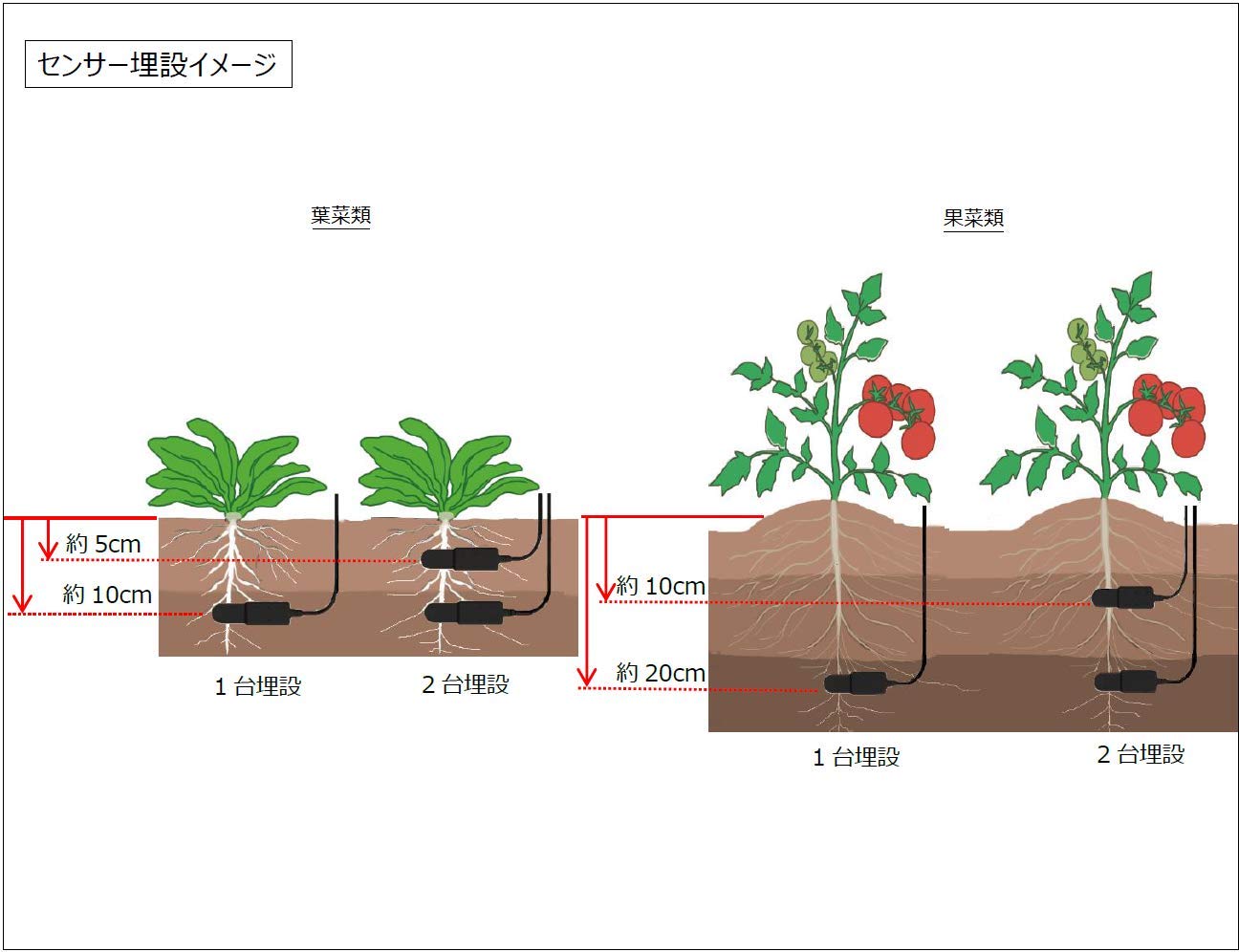 Amazon.co.jp: ARP 水分センサ WD－3－W－5Y 【単出力モデル