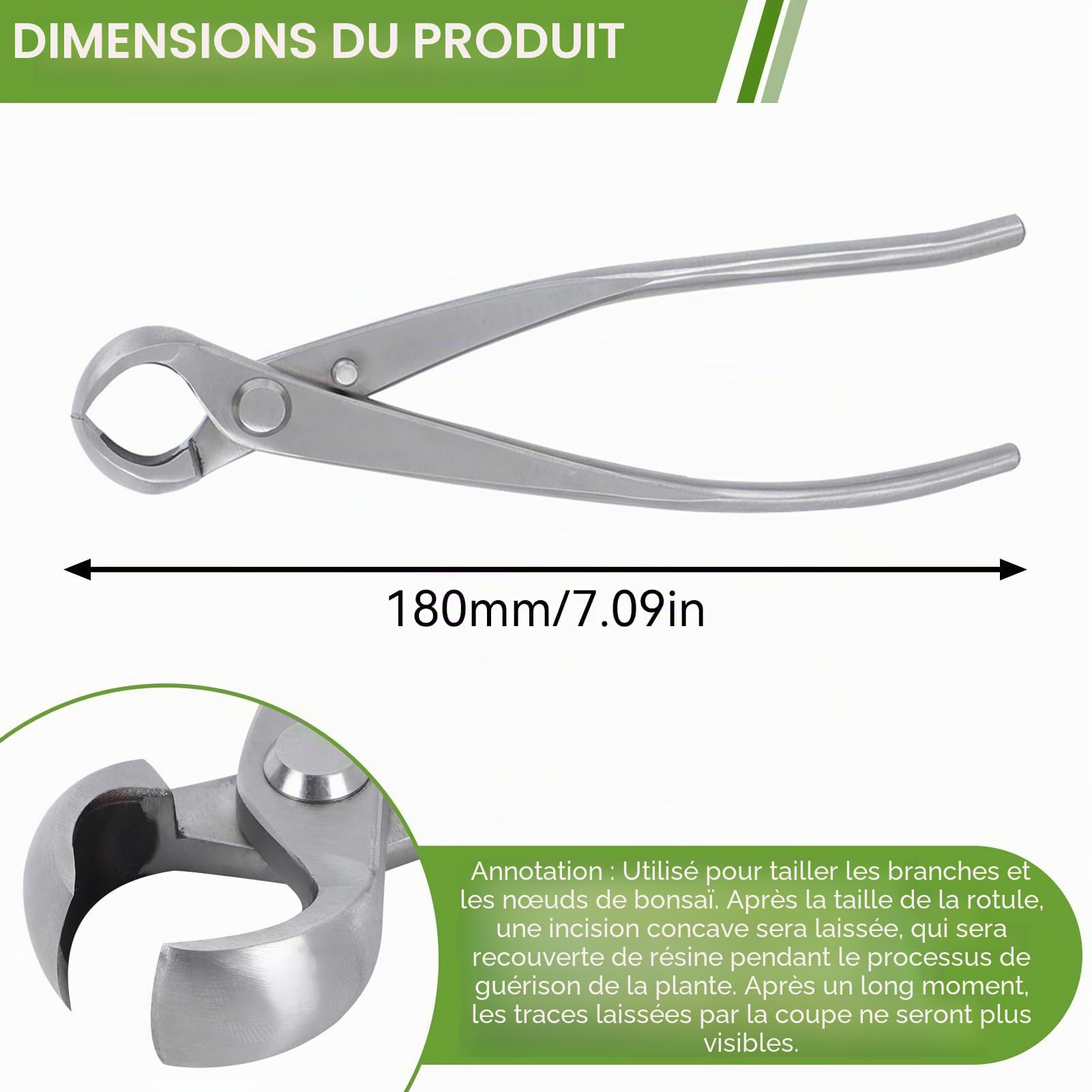 Ciseaux Bonsai, Coupe-bonsaï concave, Main Bonsaïs Cutter Branche Cutter,Coupe-branches Cisaille de Jardin Outils Bonsai, Acier Inoxydable, 180mm