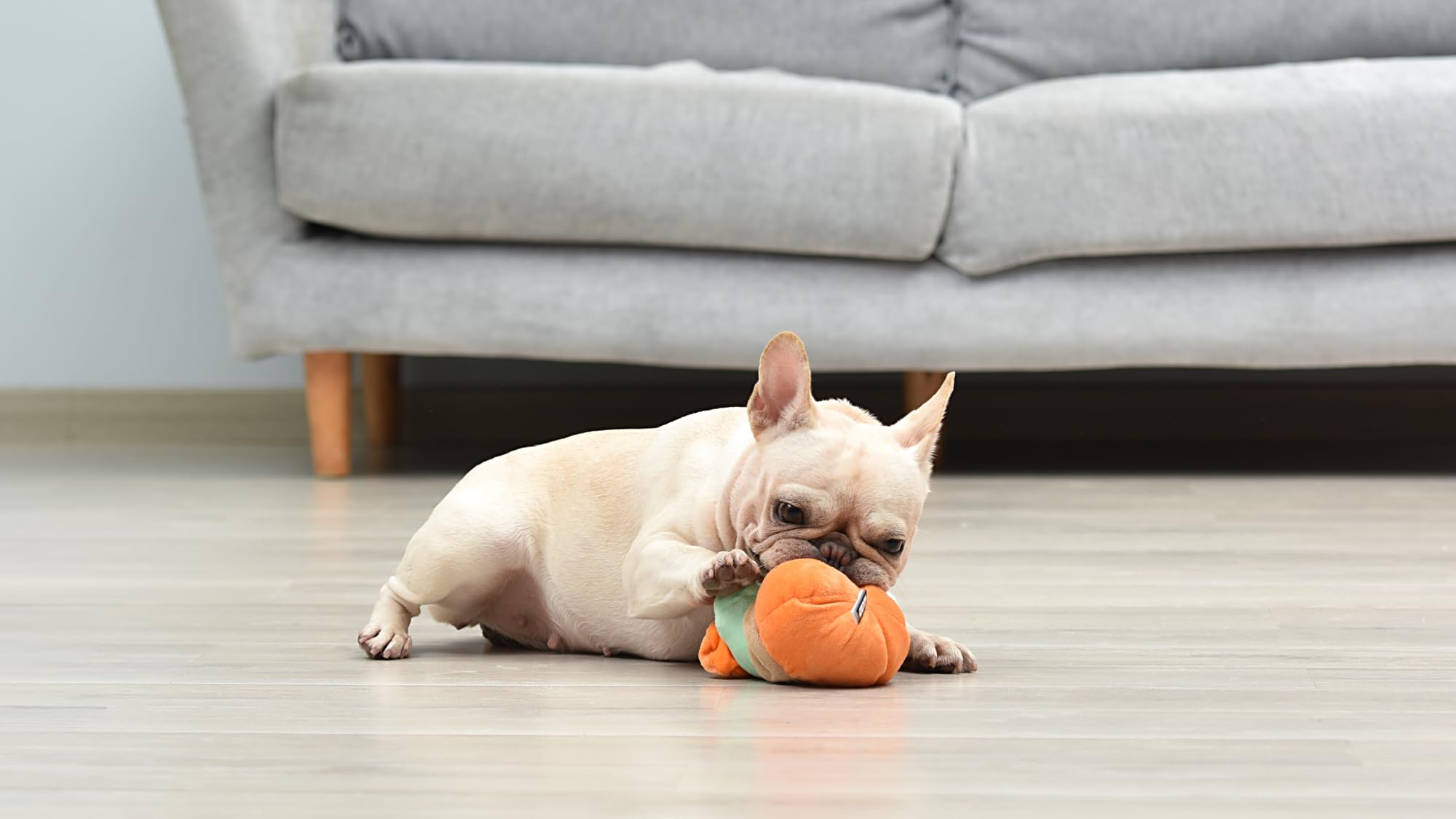 Star Wars Hundespielzeug Grogu Halloween Hundespielzeug Kürbiskopf,Kleine Hundespielzeug, Quietschendes Hundekauspielzeug Mandalorian Das Kind Hundespielzeug Plüsch, 6 Zoll