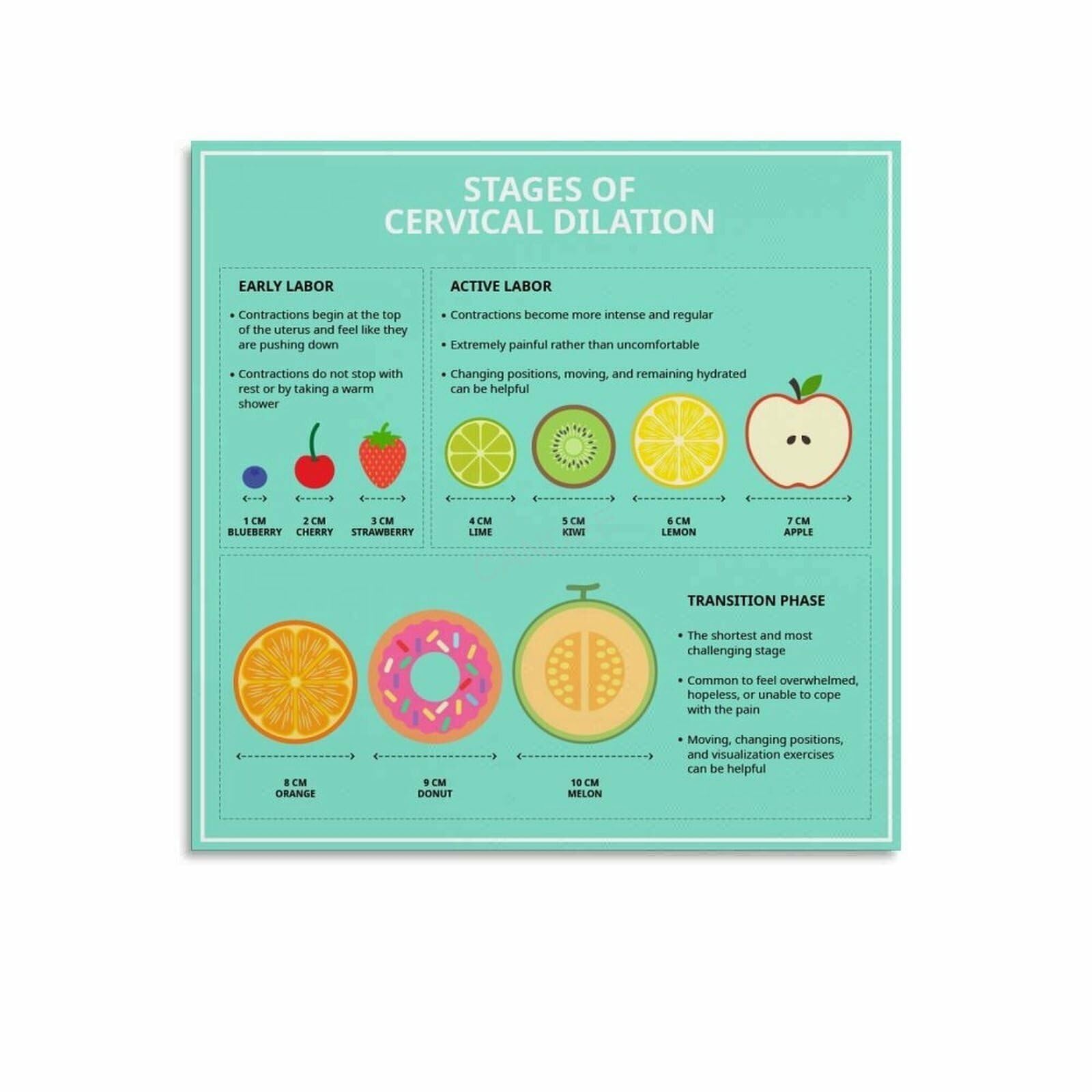 Mdbjtcyzn Unframed Understanding Cervical Dilation Poster - Visual Guide To Birth Stages, Educational Art For Expecting Parents, Shower Gift(,16X24inch(40X60cm))
