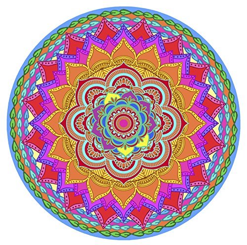 Screen Door Magnets Double Sided – Keep People, Kids, and Dogs from Running into a Screen Door. Saver - Robbins Aria Rainbow Mandala
