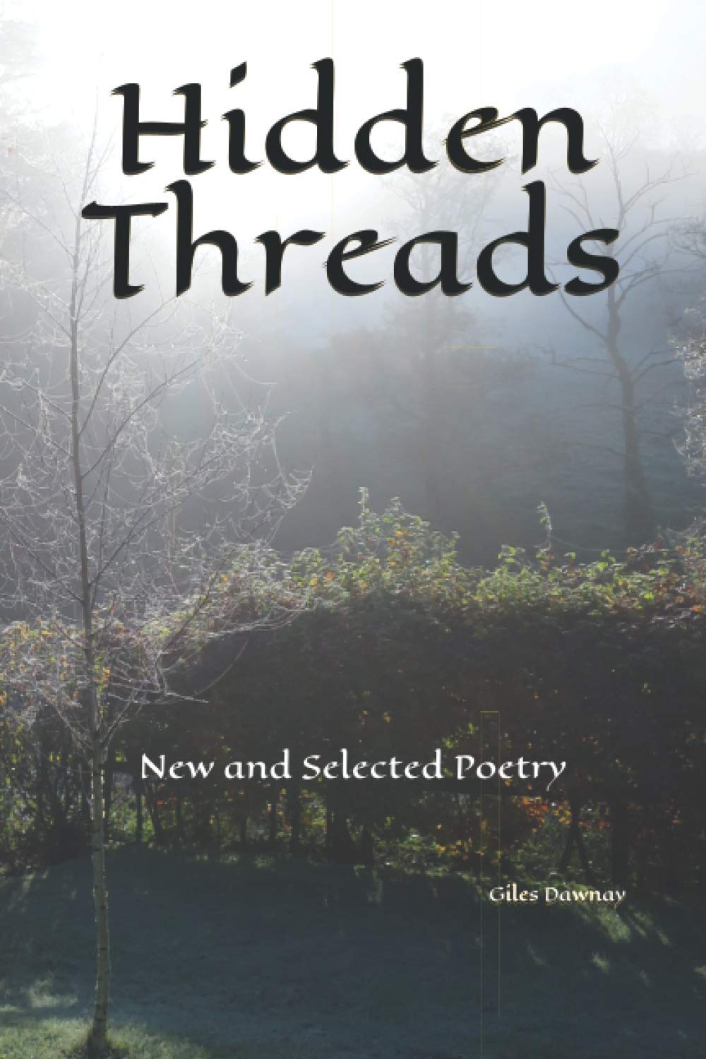 Hidden Threads: New and Selected Poetry