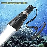 Vendedor profesional, más de 10 años de experiencia de buceo.