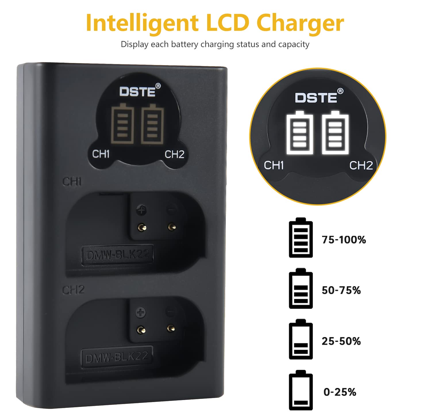 NEEWER DMW-BLK22 Batteria Sostituiva per Fotocamera da 2400mAh per Panasonic Lumix S5IIX S5II S5 GH6 DC-G9 II GH5M2, Carica Completa della Batteria Sicura al 100% in 2,8 Ore con Cavo USB Tipo