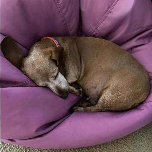 Miniatura 5 de SXBCyan Puf flotante para piscina, puf para niños, funda para puf sin relleno, impermeable, Oxford, puff salón, otomano, sofá cama para mascotas