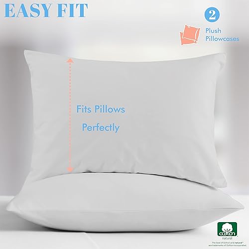 Miniatura 2 de Xoox Linen Funda de almohada de 2 piezas, tacto egipcio de 800 hilos, 100 % algodón, transpirable, color verde azulado, tamaño King, tejido de satén