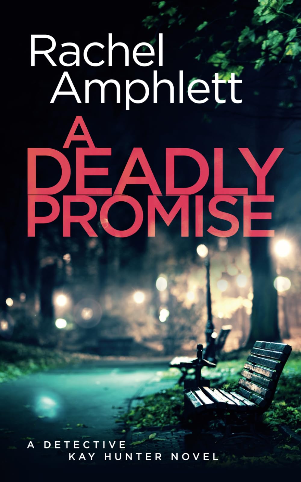 A Deadly Promise: A page-turning crime thriller: A Detective Kay Hunter crime thriller: 13