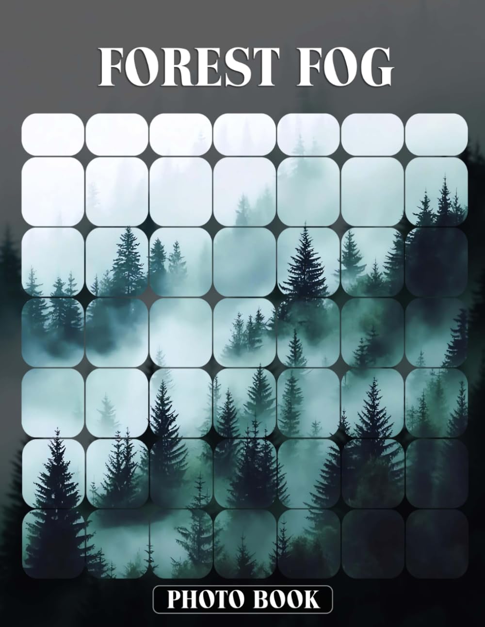 Forest Fog Photo Book Misty Woodland Photography Featuring Thick Fog And Mysterious Forest Scenes In Natural Environment Images