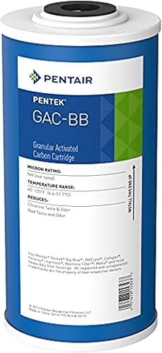 Pentair Pentek GAC-BB Big Blue Filtro de Agua de Carbón, 10 Pulgadas, Cartucho de Repuesto de Carbón Activado Granular (GAC) de Servicio Pesado para