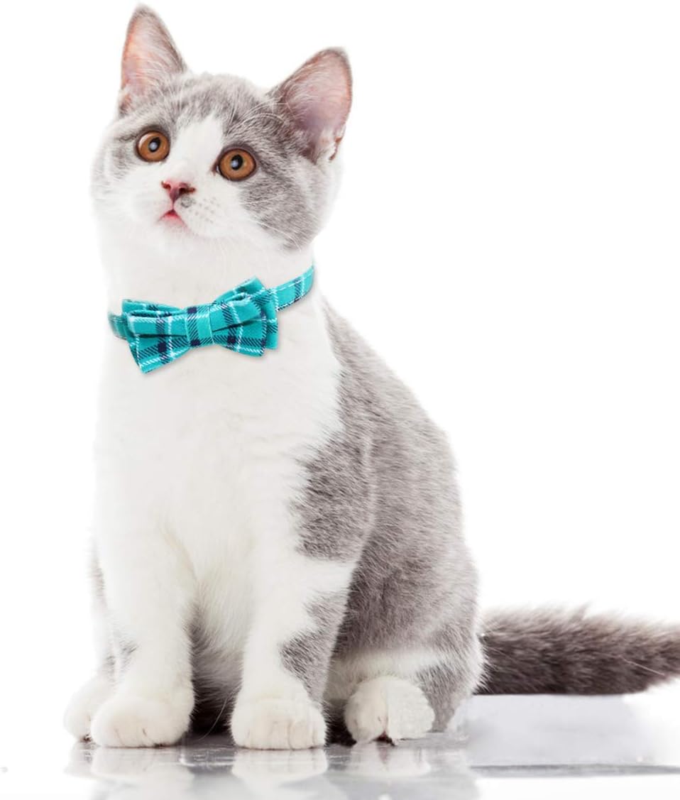 cat bow tie collar amazon