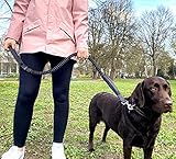 Leisegrün Hundeleine elastisch mit Ruckdämpfer 130–200 cm – Anti Zug Bungee Leine aus Nylon mit Kurzführer, für mittelgroße und große Hunde, Olivgrün
