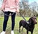 Leisegrün Hundeleine elastisch mit Ruckdämpfer 130–200 cm – Anti Zug Bungee Leine aus Nylon mit Kurzführer, für mittelgroße und große Hunde, Olivgrün