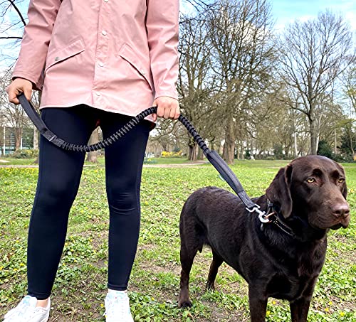 Leisegrün Hundeleine elastisch mit Ruckdämpfer 130–200 cm – Anti Zug Bungee Leine aus Nylon mit Kurzführer, für mittelgroße und große Hunde, Olivgrün