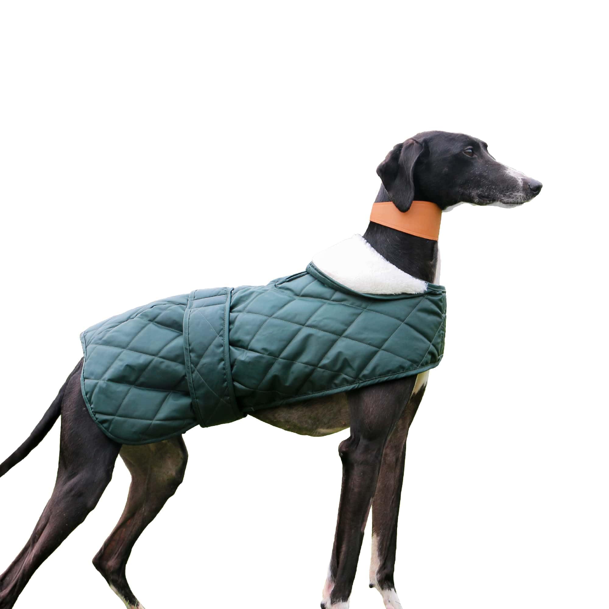 Ancol Quilted Hound Coat Cosy Faux Fur Lined Warm Adjustable Dog Puppy Sweater 53Cm from B&Q