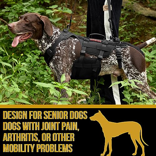 Image of OneTigris Dog Lift Harness for Large Dogs, Dog Hip Support Brace, Full Body Lifter with Handles Invictus Multifunctional Mobility Assistance Vest for Back Legs (Black, Small)