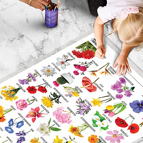 Image of GO WOO Combo of 2 Alphabet and Flowers Educational Posters for Preschool Kids Classroom Study | Learning- Charts for Kids Learning (20 inchX30 inch Inches)