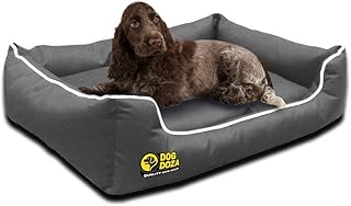 dog doza beds