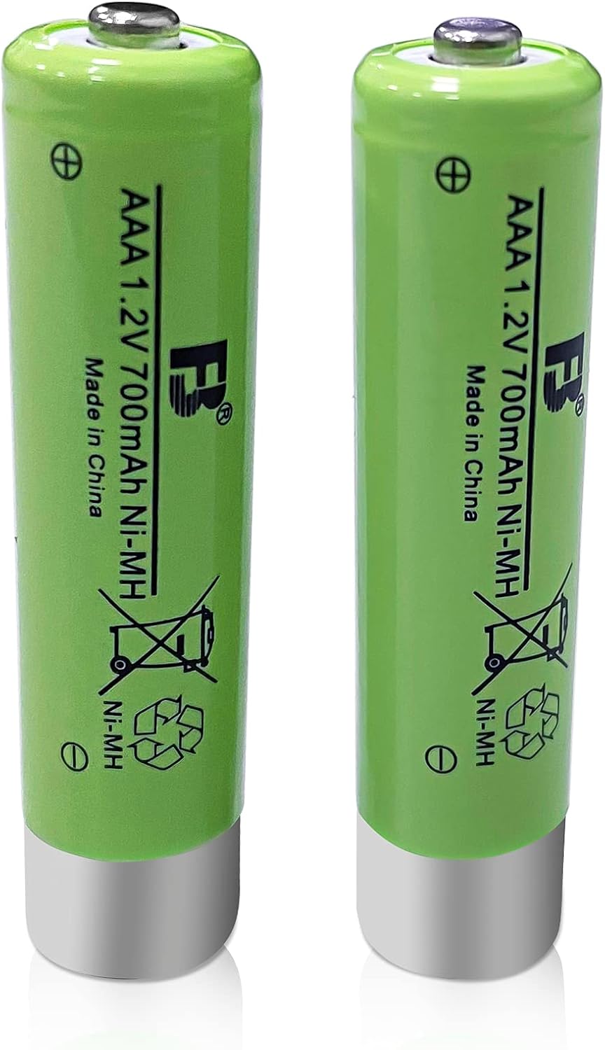 Two AAA 1.2V 700mAh Ni-MH rechargeable batteries