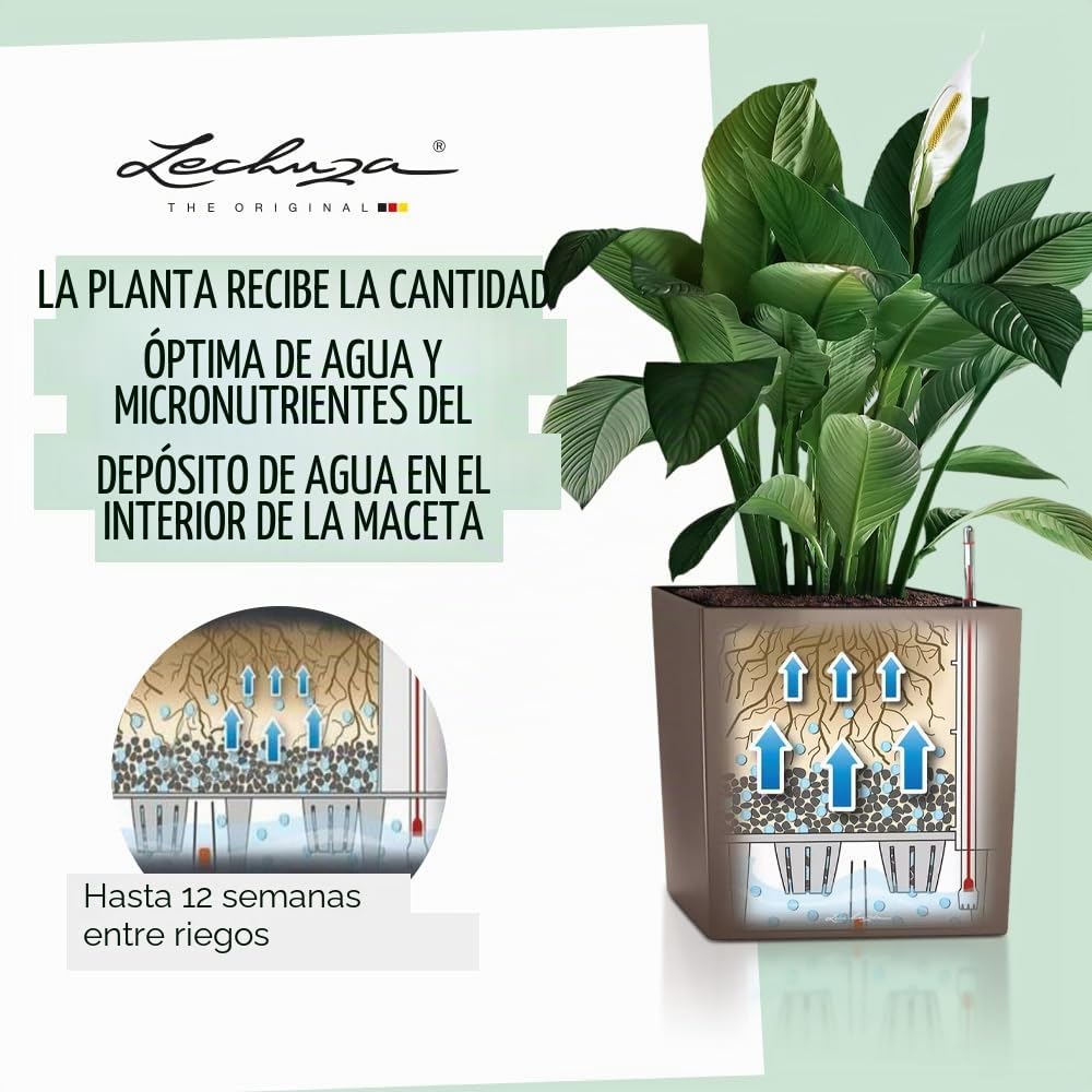 Lechuza Cube Premium 30 Blanco Brillante 16460