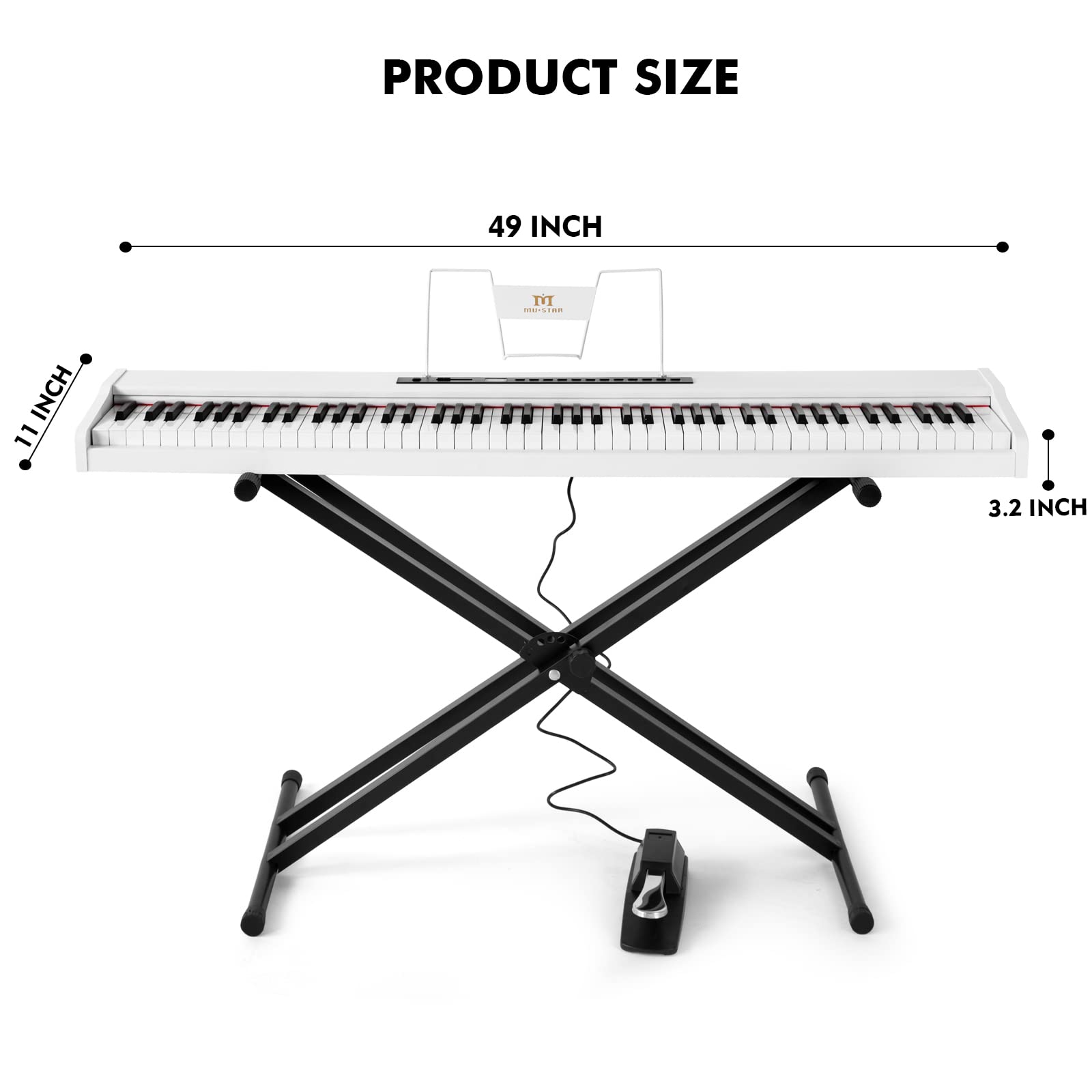 https://m.media-amazon.com/images/I/61RySgib65L.jpg