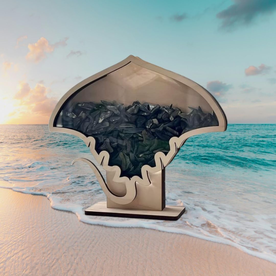 Sting ray Shadow Box Made in USA (Small) for Your Shark Teeth, Plates, sea Glass, Rocks, Crystals etc.