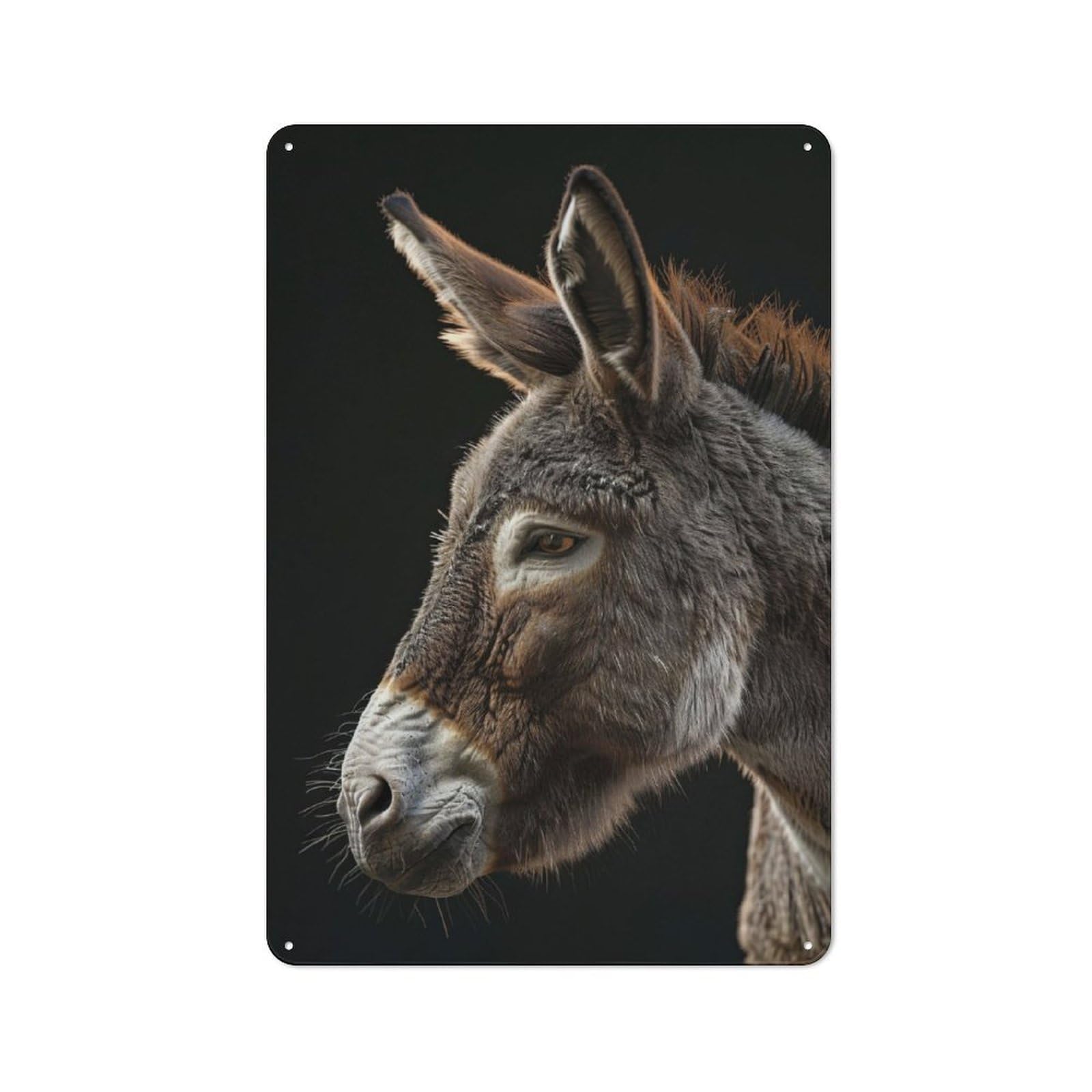 Retro Donkey Vintage Tin Sign 30x20cm, Retro Room Decor for Lounge, Study, Pub Or Wall Gallery