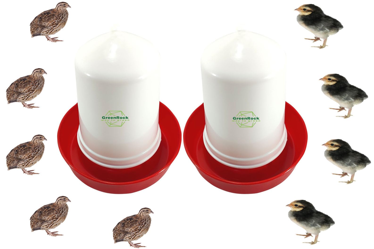GreenRock Chick & Quail small bird Food Feeder & Drinker Combo 500 grams capacity (Pack of 2) (B0D8VLK9ZV) Amazon Price History, Amazon Price Tracker