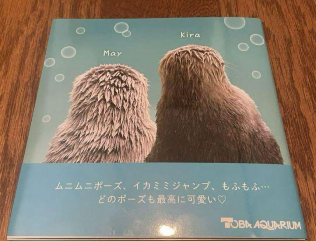 Amazon.co.jp: 鳥羽水族館 ラッコ 写真集 : おもちゃ
