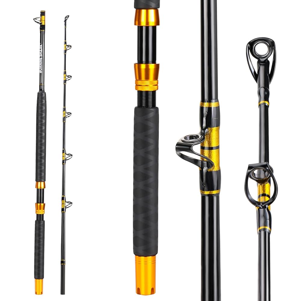 Amazon | Gloden Burning Shark ジギングロッド ソルト