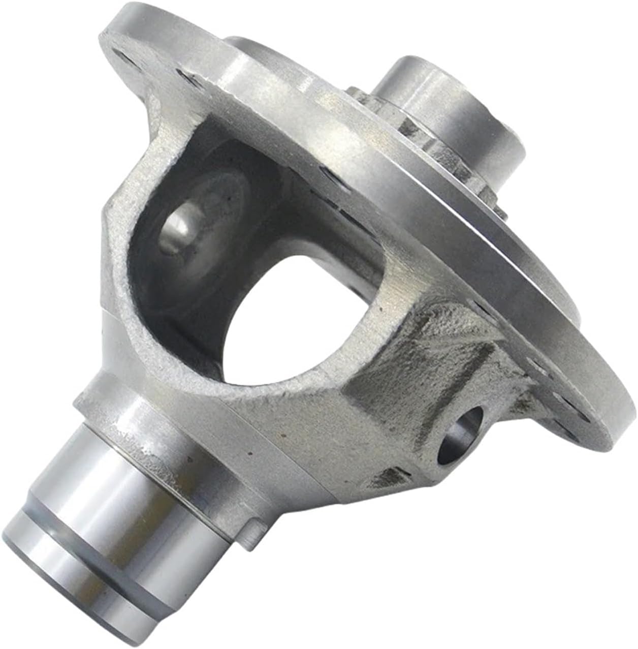 ⭐️【超巨大・子株ビッシリ特大ソテツ】⭐️蘇轍 ソテツ シンボル