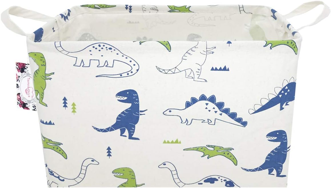 Dinosaur Basket
