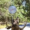 Moultrie 550 Lb Big Game Scale - All-Steel Frame, Large Easy-Read Dial, Two S-Hooks Included, MFA-15007