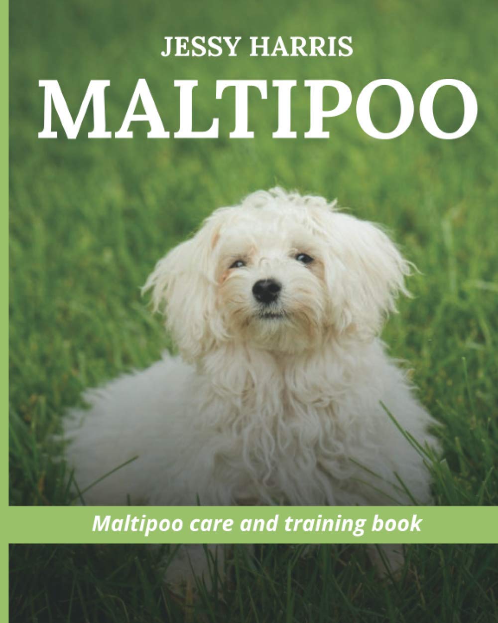Maltipoo: Puppy training book for Maltipoo's
