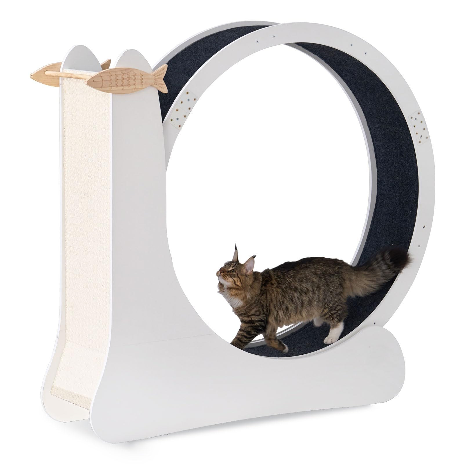 SDHYL - Ruedas de ejercicio para gatos silenciosas, gran alfombra de correr para gatos en forma de caracol rueda de carreras para gatos de interior, juguete deportivo de cinta de correr para pequeños