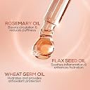 RENEE Glass Glow Pre Makeup Oil Primer 10ml| Non Sticky, Smoooth Finish| Hydrates, Repairs & Nourishes Skin| Adds Natural Glow to the Skin gallery image