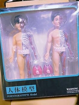 Amazon.co.jp: ポルノグラフィティ 人体模型 昭仁 Model、晴一Model 2